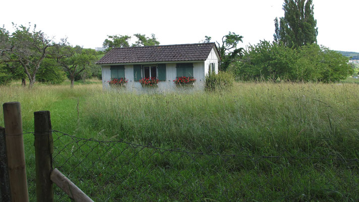 Samstag: Schnappschuss von einem kleinen Haus bei Birnau.