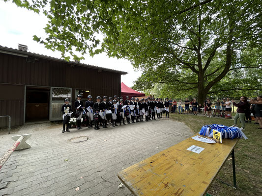 Dielsdorf (ZH)
