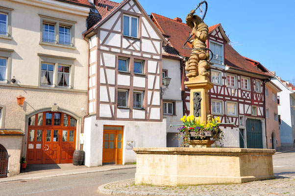 Hänselebrunnen im "Dorf"