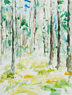 forest 2