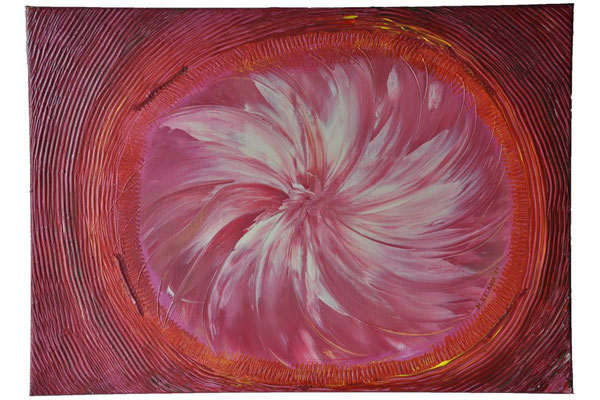 BLUME  70/50