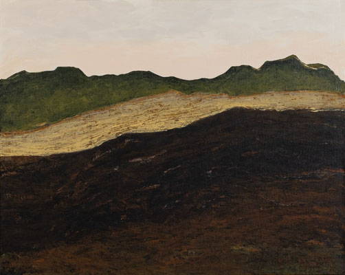 Nature du paysage n°2 92x73cm