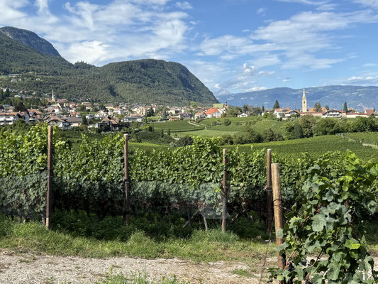 1. Tour, Kaltern und Umgebung