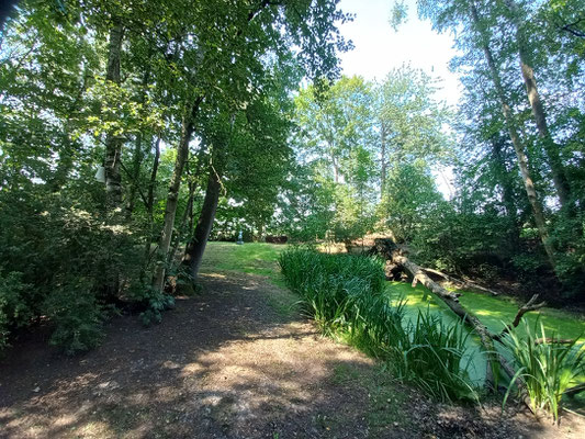 Natuurtuin bij de lesruimte in Borgercompagnie 