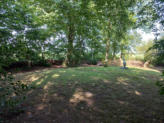 Yoga op de heuvel in de natuurtuin in Borgercompagnie 