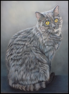 Katzenzeichnung, graue Katze, Pastellzeichnung, cat pastel painting