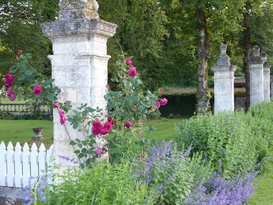 Charras 16 - abbaye de Grosbot - fleurs en folie