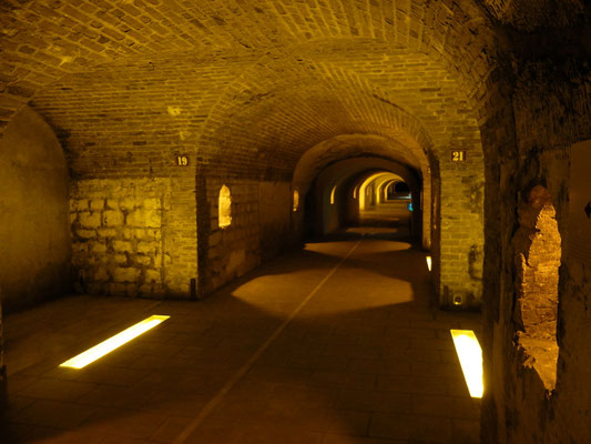 長いセラーの様子。