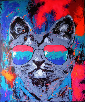 CoolCat  120x100 😎  Verkauf 