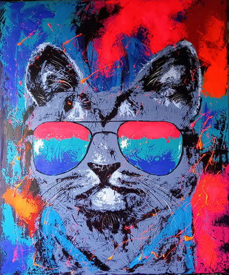 CoolCat  120x100 😎  Verkauf 
