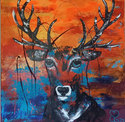 JägerMeister 120x120            1500Euro