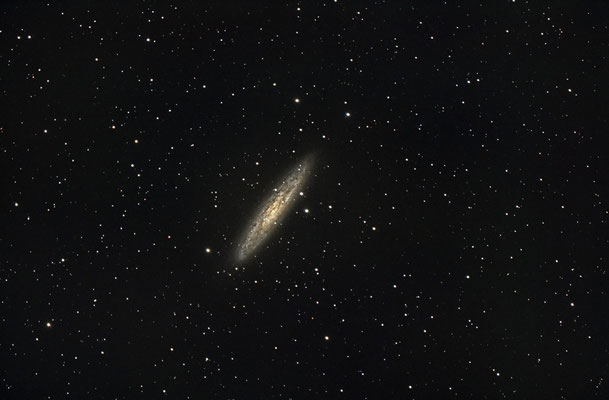 NGC253, C14 hyperstar, 20x120s, 11 août 2015, Ardèche, Lionel