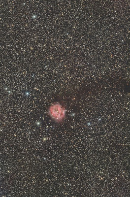 IC5146, la nébuleuse du Cocon, 15x120s, 12 août, Ardèche, Lionel
