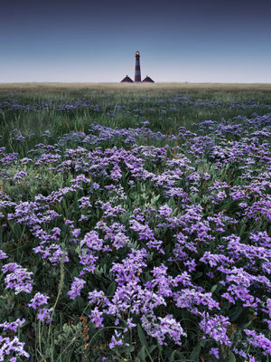 Leuchtturm Westerheversand l 2025