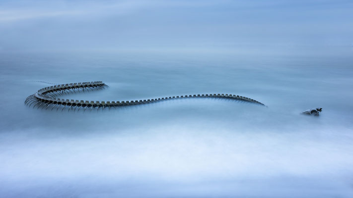 Serpent d’Océan l Saint-Brevin-les-Pins l Pays de la Loire l 2023