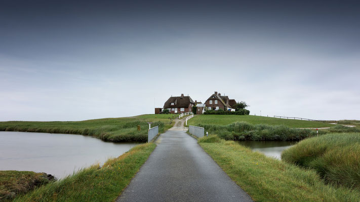 Westerwarft l Hallig Hooge l 2025