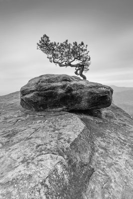 Lilienstein l Sächsische Schweiz l 2020