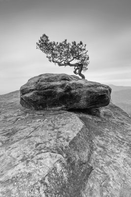 Lilienstein l Sächsische Schweiz l 2020