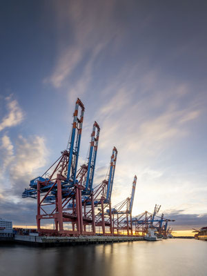 Waltershofer Hafen l Hamburg l 2023