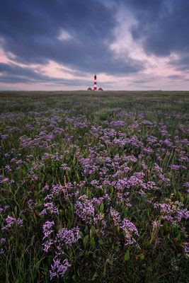 Leuchtturm Westerheversand l 2025