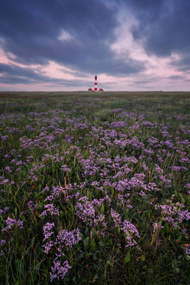 Leuchtturm Westerheversand l 2025