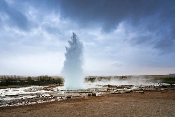 Strokkur Geysir l 2019