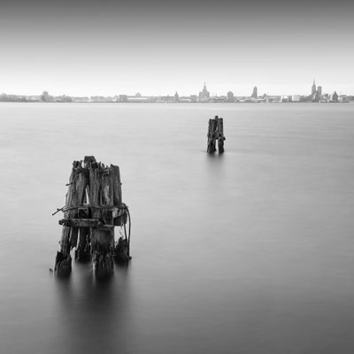 Altefähr l Rügen l Blick nach Stralsund l 2024