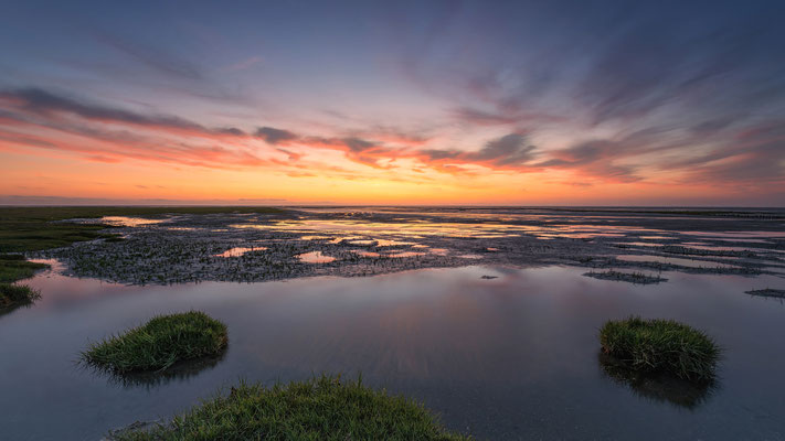 Westerhever Watt l Stufhusen l 2025