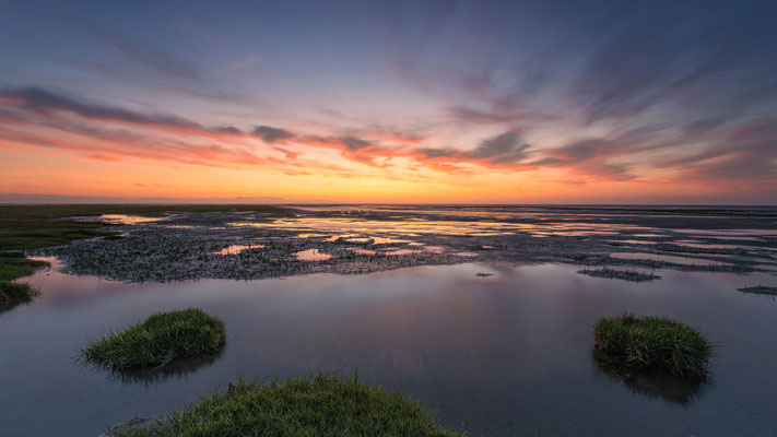 Westerhever Watt l Stufhusen l 2025