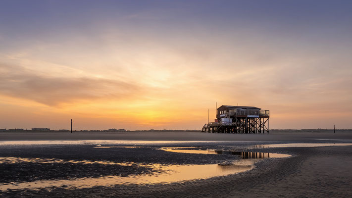 Silbermöwe l St. Peter-Ording l 2022