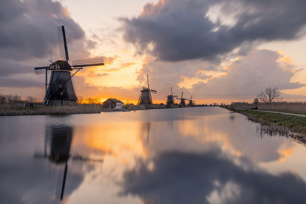 Kinderdijk Mühlen l 2024