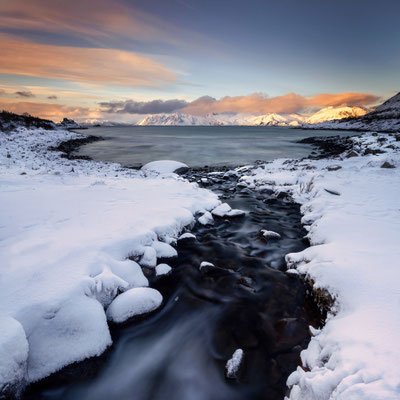 Rorvik Strand l 2024