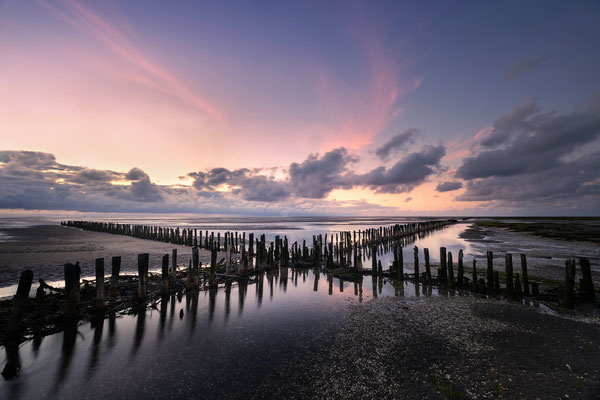 Westerhever Watt l Stufhusen l 2024