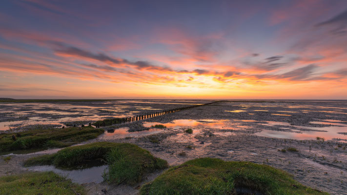 Westerhever Watt l Stufhusen l 2025