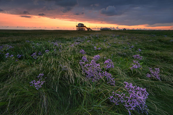 Südstrand l St. Peter-Ording l 2025