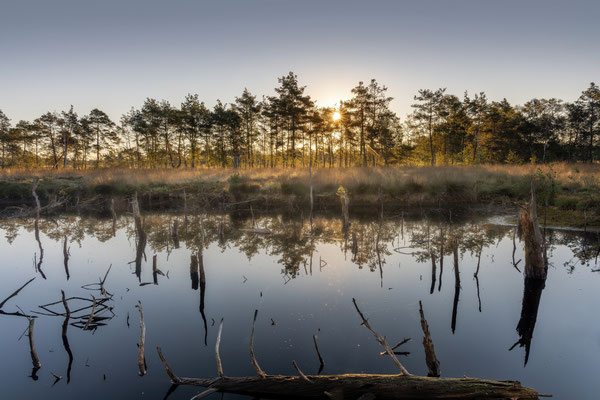 Pietzmoor l Niedersachsen l 2022