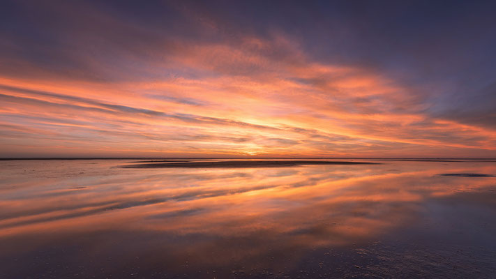 Westerhever Watt l 2025