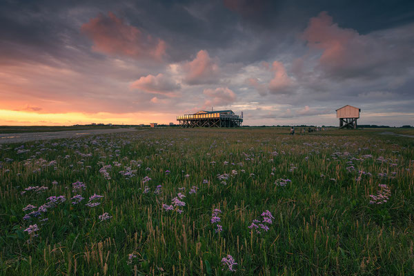 Südstrand l St. Peter-Ording l 2025