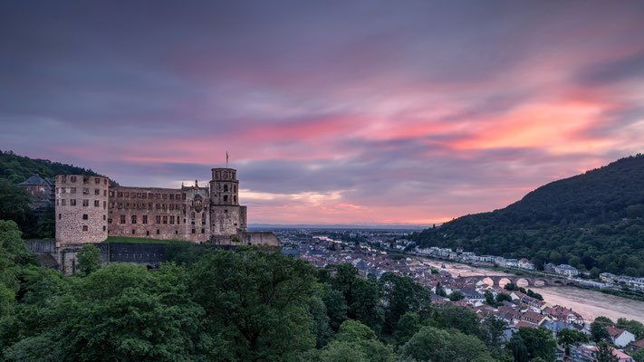 Heidelberger Schloss l Baden-Württemberg l 2024