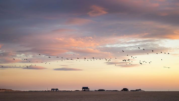 St. Peter-Ording l 2023