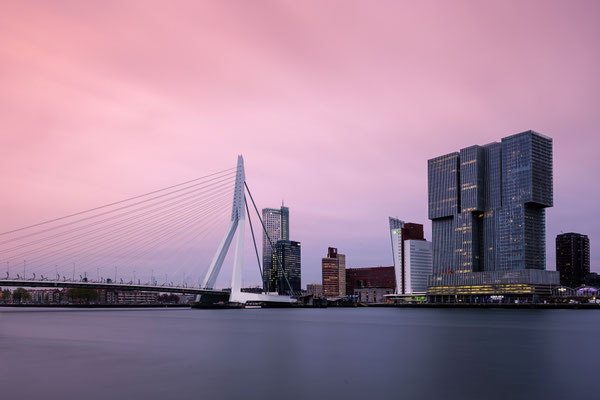 Erasmusbrug l Rotterdam l 2024