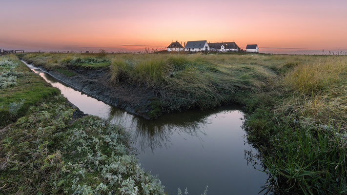 Hamburger Hallig l 2024
