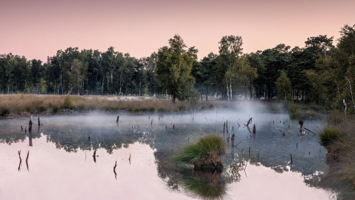 Pietzmoor l Niedersachsen l 2022