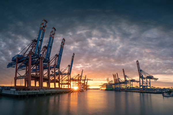 Eurogate Terminal und Terminal Burchardkai l  Waltershofer Hafen l Hamburg l 2023