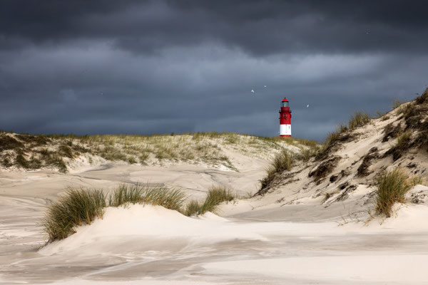 Leuchtturm Amrum l 2024