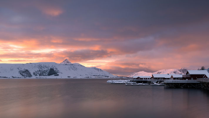 Lofoten Basecamp l Leknes  l 2024