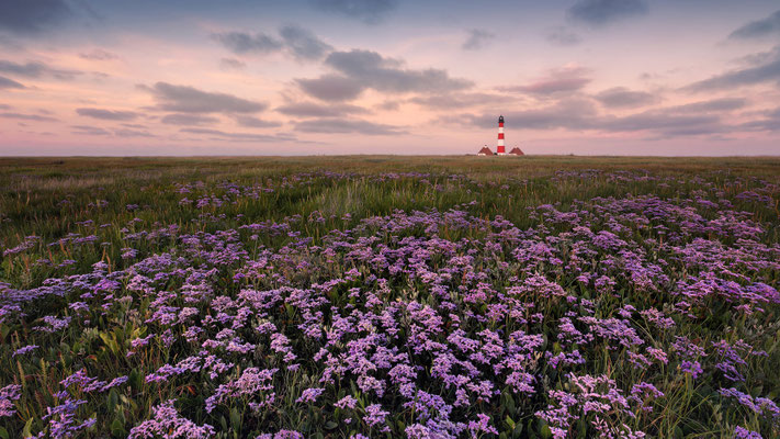 Leuchtturm Westerheversand l 2025