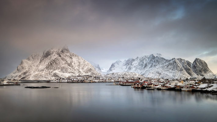 Reine l 2022