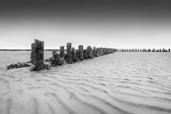Westerhever Watt l Stufhusen l 2025