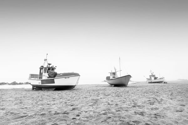 Lonstrup Strand l Dänemark l 2024